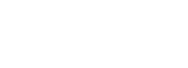 Bridge Wellness